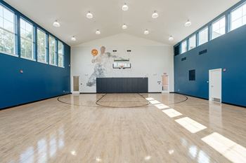 Lighted basket ball court